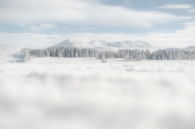 Les atlitudes pétrifiées Nicolas Rottiers Photographe Paysage Normandie