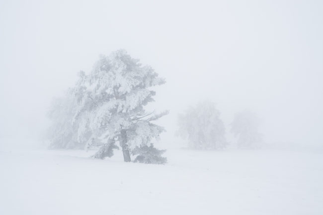 Les atlitudes pétrifiées Nicolas Rottiers Photographe Paysage Normandie