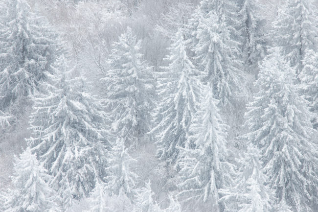 Les atlitudes pétrifiées Nicolas Rottiers Photographe Paysage Normandie