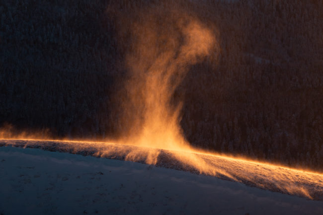 Les gardiens de l'hiver Nicolas Rottiers Photographe Paysage Normandie