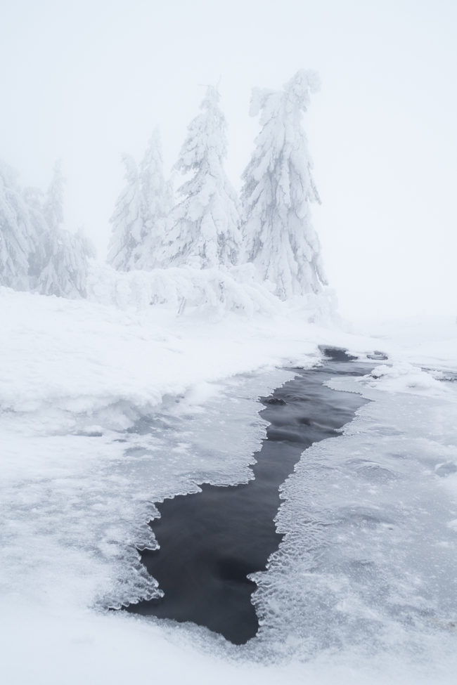 Les atlitudes pétrifiées Nicolas Rottiers Photographe Paysage Normandie