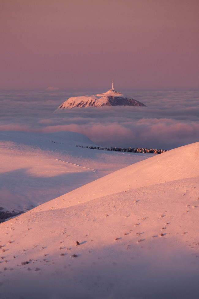 Les gardiens de l'hiver Nicolas Rottiers Photographe Paysage Normandie