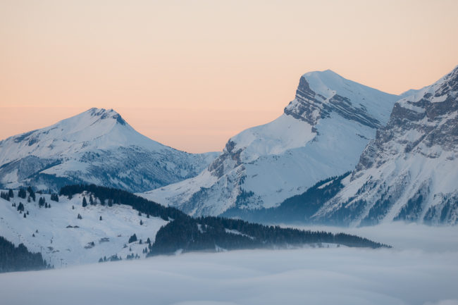 Les gardiens de l'hiver Nicolas Rottiers Photographe Paysage Normandie