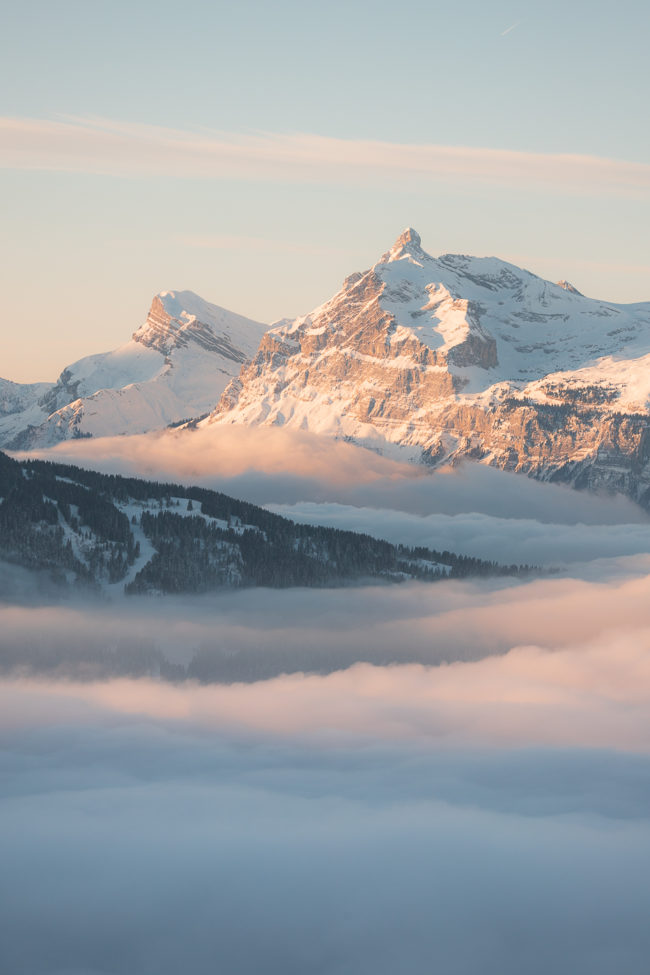 Les gardiens de l'hiver Nicolas Rottiers Photographe Paysage Normandie