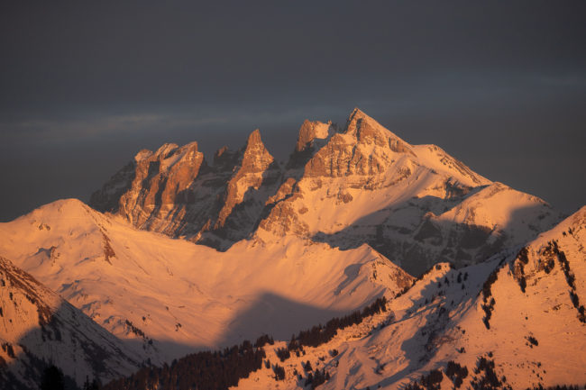 Les gardiens de l'hiver Nicolas Rottiers Photographe Paysage Normandie