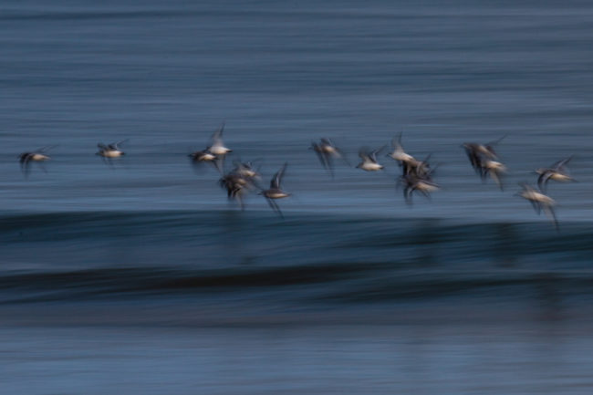 Impressions Nicolas Rottiers Photographe Paysage Normandie