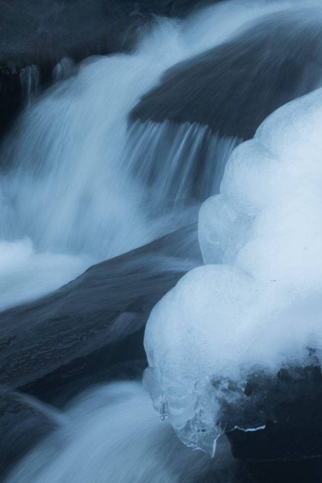 Les gardiens de l'hiver Nicolas Rottiers Photographe Paysage Normandie