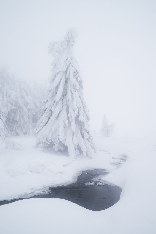 Les atlitudes pétrifiées Nicolas Rottiers Photographe Paysage Normandie