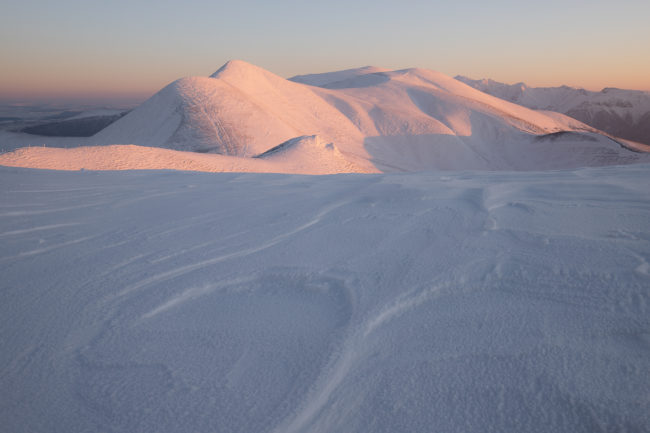 Les gardiens de l'hiver Normandie Nicolas Rottiers Photographe Paysage Normandie