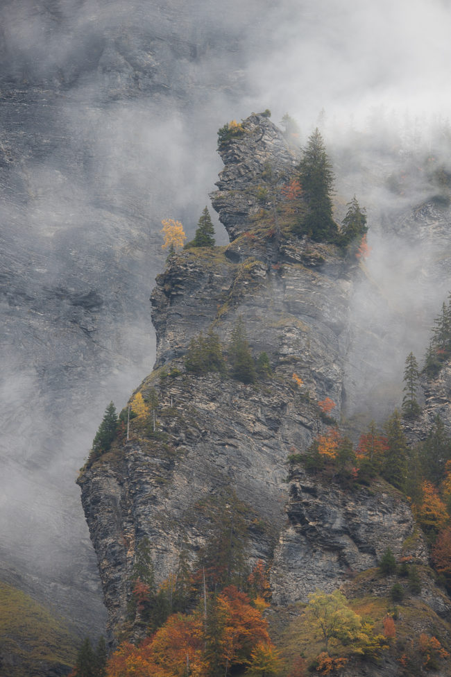 Fragments d'automne Nicolas Rottiers Photographe Paysage Normandie